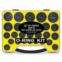 oringo cat 3.png